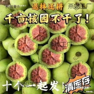 ���Ǫ{���^����y���ñ��Ƥ�������ـ��Ƥ���ܳ�����������̫��