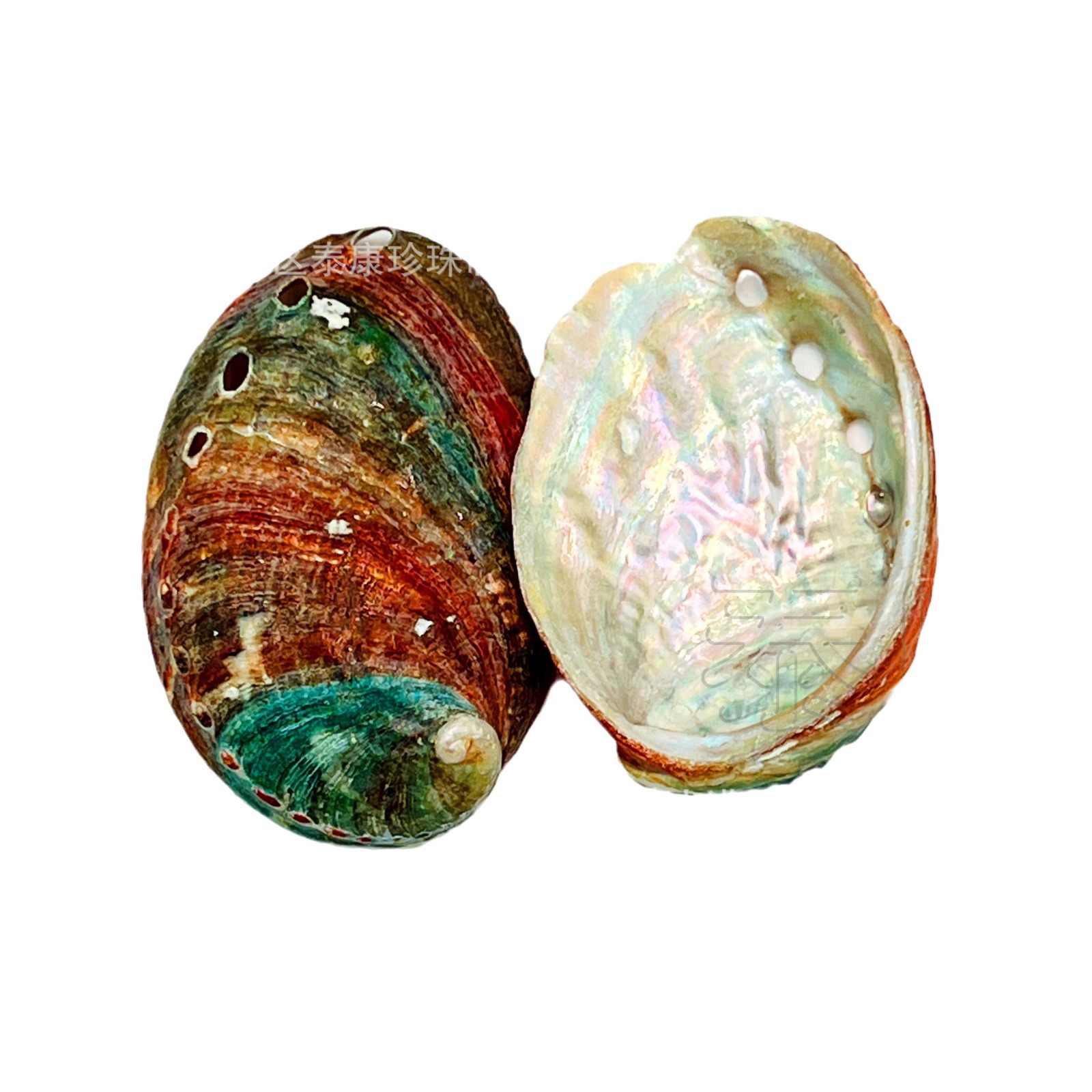 �ӹ�С���㱴��2���������쾰װ�α���ǰ����� ��Ȼ��ɫ���Ʊ�