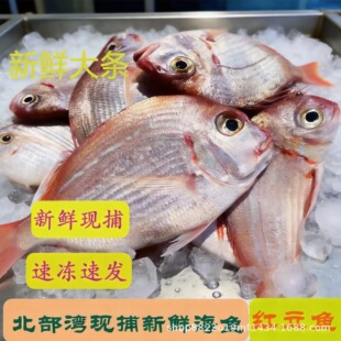 ���������r����Ƽt���~�r���ك������~����t�~���~�t���~�t��