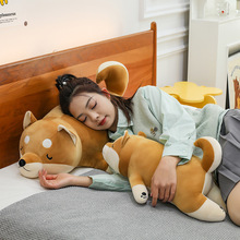 SֱNձȮëq߿ɐ۹ʿȮ˯XYﳬ