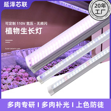 ȫ���VT8ֲ���a���LED���⌣��ֲ������ܜ��Ҷ���Gֲ�����L��