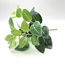 7�^�����^�z�~�ӷ���ֲ��Gֲ���쾰�b����Բ廨�G�~�ٻ��G�}2