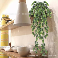 ���R�d���N�͹ŷ���ڒ컨���}�ݾGֲ�廨����ֲ����ơ�ƻ���