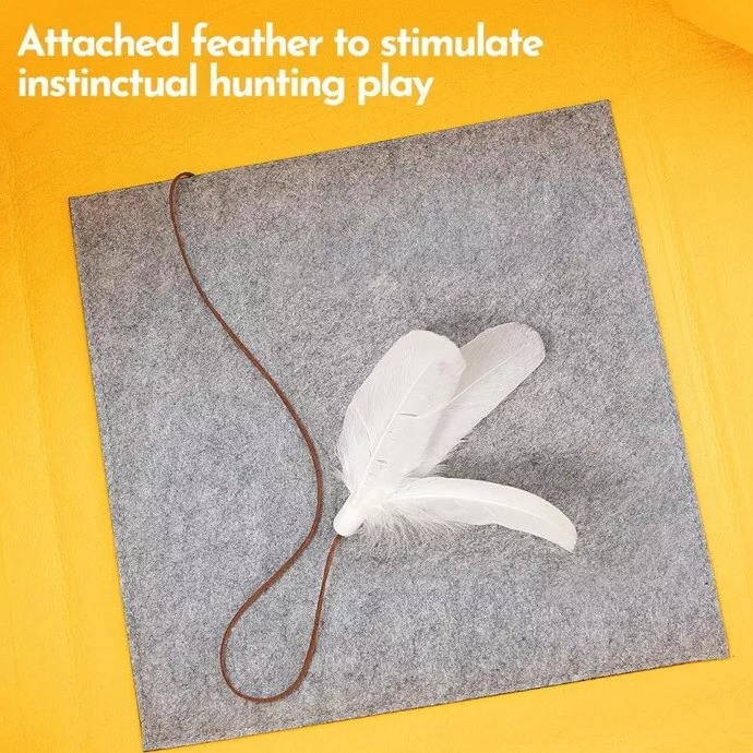 2024-06-19 15:46:35.jpg