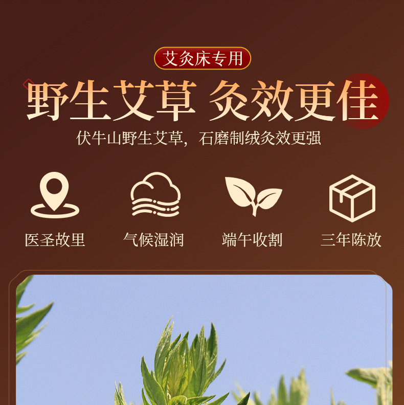 3x4cm Moxa Cones for Moxibustion Bed 15:1 Ratio Mugwort Ai Zhu 12 Pieces Per Board overview
