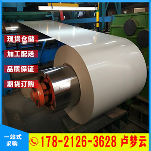 �����X�\�ʉT����TS300GD+AZ�ʉT䓰����Ʒ�|���y59X�ʉT��