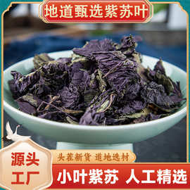 紫苏叶 中药材50g紫苏叶泡水正紫苏叶干泡茶泡脚小叶紫苏叶批发