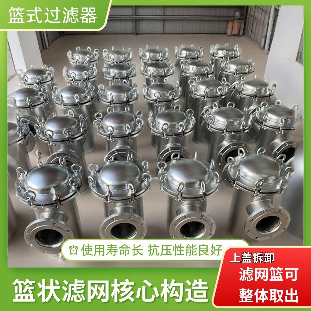 304 316L不锈钢提篮蓝式过滤器毛发收集器天燃气管道直通式过滤器