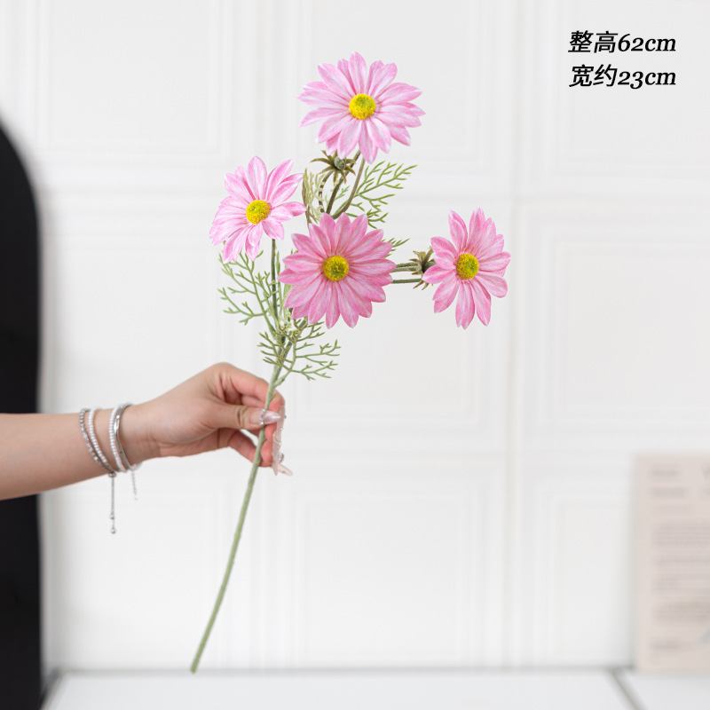 핑크 느낌의 여름 국화 단일 지점