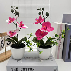 三花の胡蝶蘭の黒い砂の盆栽の家の装飾は鉢植えの造花の結婚式の撮影をシミュレーションします。
