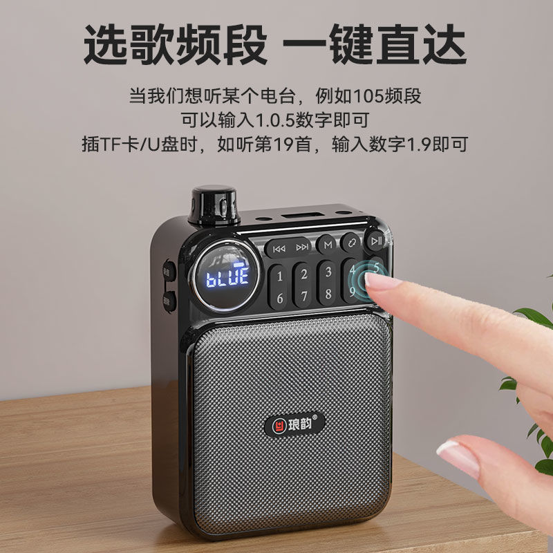 Langyun C75 Bluetooth カードオーディオラジオ大音量ミニアンプ多機能ポータブルプレーヤー|undefined