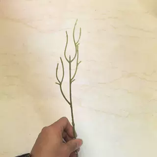 仿真花花枝配件单支花杆 DIY手捧花人造把束花装饰仿真枝干批发