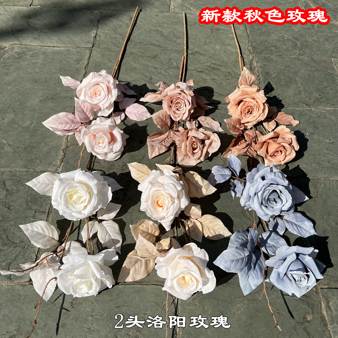 微信图片_20211207125337.jpg