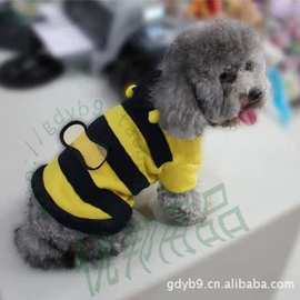 宠物衣服奶狗可爱小密蜂秋冬装小型犬狗衣服猫咪衣服宠物衣服批发