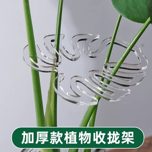 Bambusa Tortoise Support Rod Flower Support Rack Branch Stowed Rack Plant Anti-Lodging Support Green Plant Fixation Artifact Flower Rack