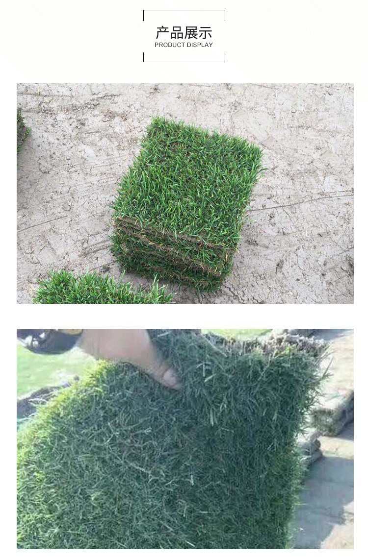 O1CN01NtKq9r1NO4K9ktOLi_!!2216