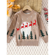 N 95060 Kids Thick Sweater ��ͯ�Ӻ�ë�¿羳����ͨ