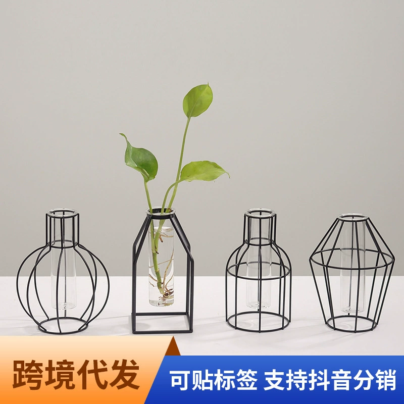 В скандинавском стиле простая Геометрическая железная прозрачная стеклянная гидропонная ваза украшения для гостиной сушеный цветок упорядочить украшения для дома