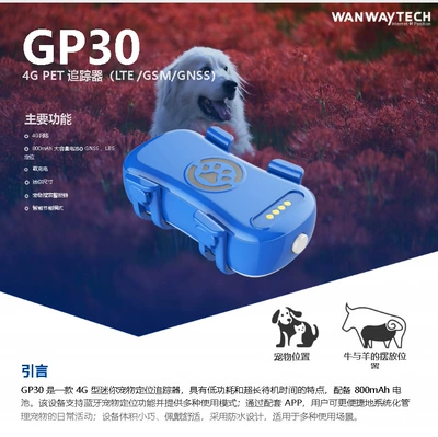 GPS Locator and cats, GPS collar - real-time-positioning-trajectory-fence-remote-switch-one-click-navigation-multi-mode-power-saving-multi-purpose-for-people-vehicles-and-pets-mini-programapp-overseas-version-gp30-sound-light-tracking-reflective-collar-magnetic-charging-1-year-card-7-day-s