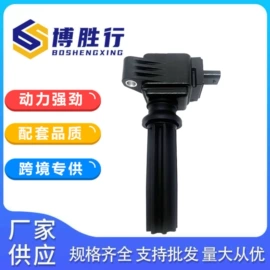 油泵、油嘴;点火线圈;其他发动系统