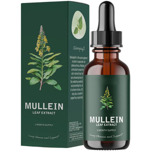 �羳���R�dTK���N60m�F؛ë�ﻨ�΄�MULLEIN LEAF DROP