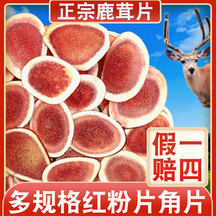 Pilose antler dried blood tablets red powder tablets fresh tonic sparkling wine kidney pilose antler tablets whole root