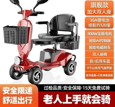 Scooter, Small Electric Vehicle, Qatlanan elektrik velosipedlər - flagship-double-person-model-with-premium-30a-lithium-battery
