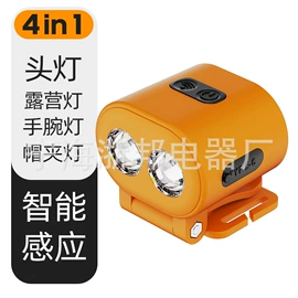 手电筒;头灯头戴电筒;野营/露营灯
