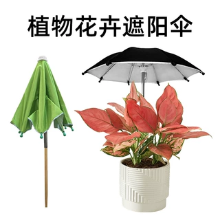 植物花卉防晒伞多肉盆景盆栽遮阳伞防雨伞户木柄地插伞迷你伞两用