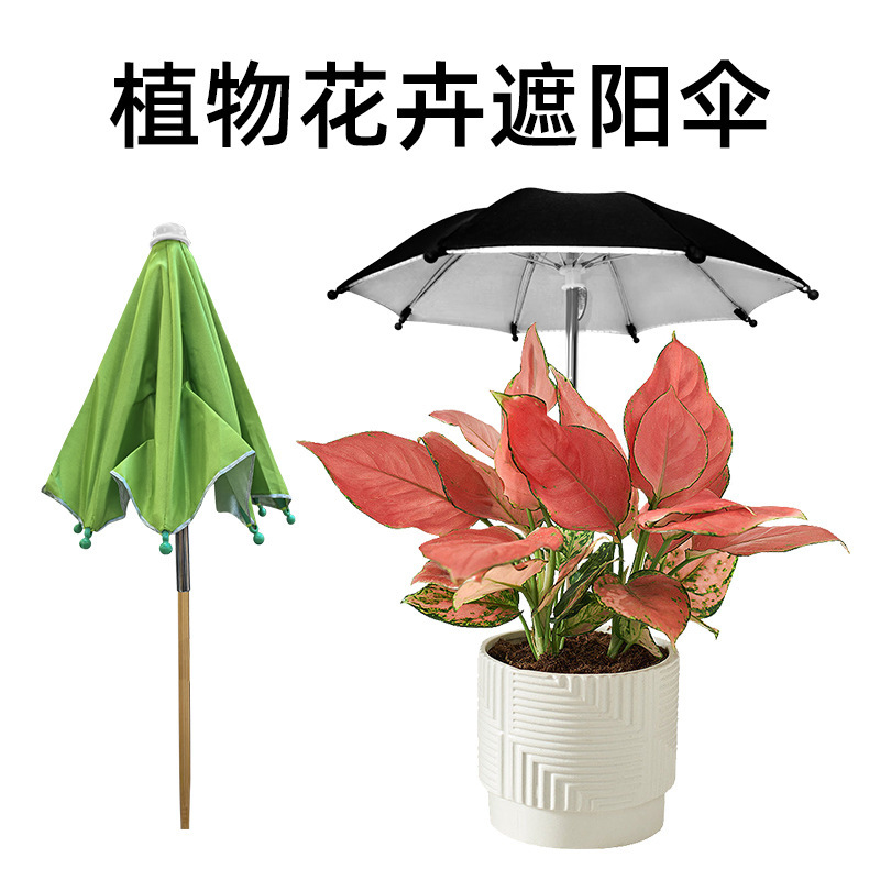 Plant and Flower Sunshade Umbrella, Succulent Bonsai Potted Plant Sunshade Umbrella, Rainproof Umbrella, Wooden Handle Ground-Insert Umbrella, Mini Umbrella Dual-Use Plant and Flower Sunshade Umbrella, Succulent Bonsai Potted Plant Sunshade Umbrella, Rainproof Umbrella, Wooden Handle Ground-Insert Umbrella, Mini Umbrella Dual-Use