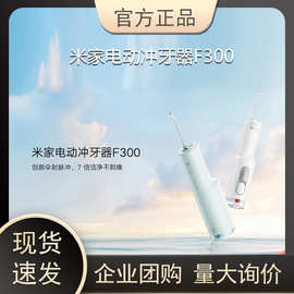 小.米小.米电动冲牙器 F300 便携式家用伞射脉冲水牙齿冲洗洁牙器