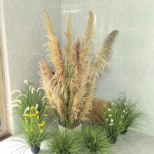 仿真芦苇草单支天然芦苇造景装饰森系田园系装饰搭配布景仿真花材