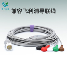 �m���w���ּ�����늌���12�һ�w���w3��5���ۊAʽ���W������|