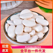 ���ܿ������M���r��������נ������Ҝ����ٽ��˟��i��ú��w