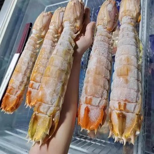 ���̩�r̩������ƤƤ�r�����ش��r�����r���r������|���r���F�r