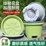透气大号加厚塑料盆
