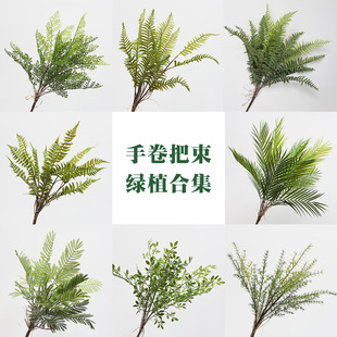 ����Gֲާ������� ��c���� �b��̾G���쾰�����~��ֲ�����l