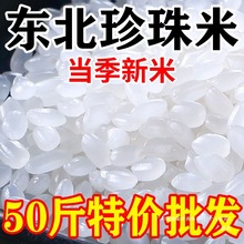 �|������2025������50���bһ�������ױ���20�ﾬ��������qiju�Ї�