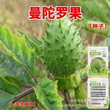 �����_���N��ͥԺ�������Լ�ͥ�̨�Nֲ���ݻ����ݻ��ļ����N��