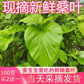 毛绒玩具;戏水玩具;泡泡玩具