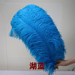 �S�����l15-75cm�r�Bë��c��̨�ݳ��{ɫ��ë���b�b��r�B��ë