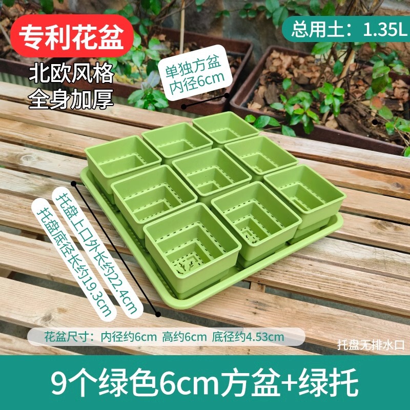 樹脂多肉植木鉢大口径小白角コンビネーション台座付きトレープラスチック通気植物専用根付き鉢|undefined