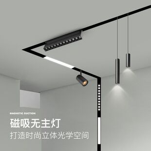 Built-in spot lighting railed, mounted LED lights for living room