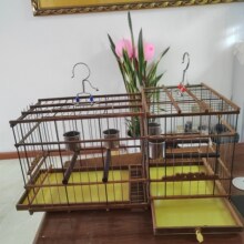 ����䓽z�D�����Ϯ�ü�B�\������L���B�\��������