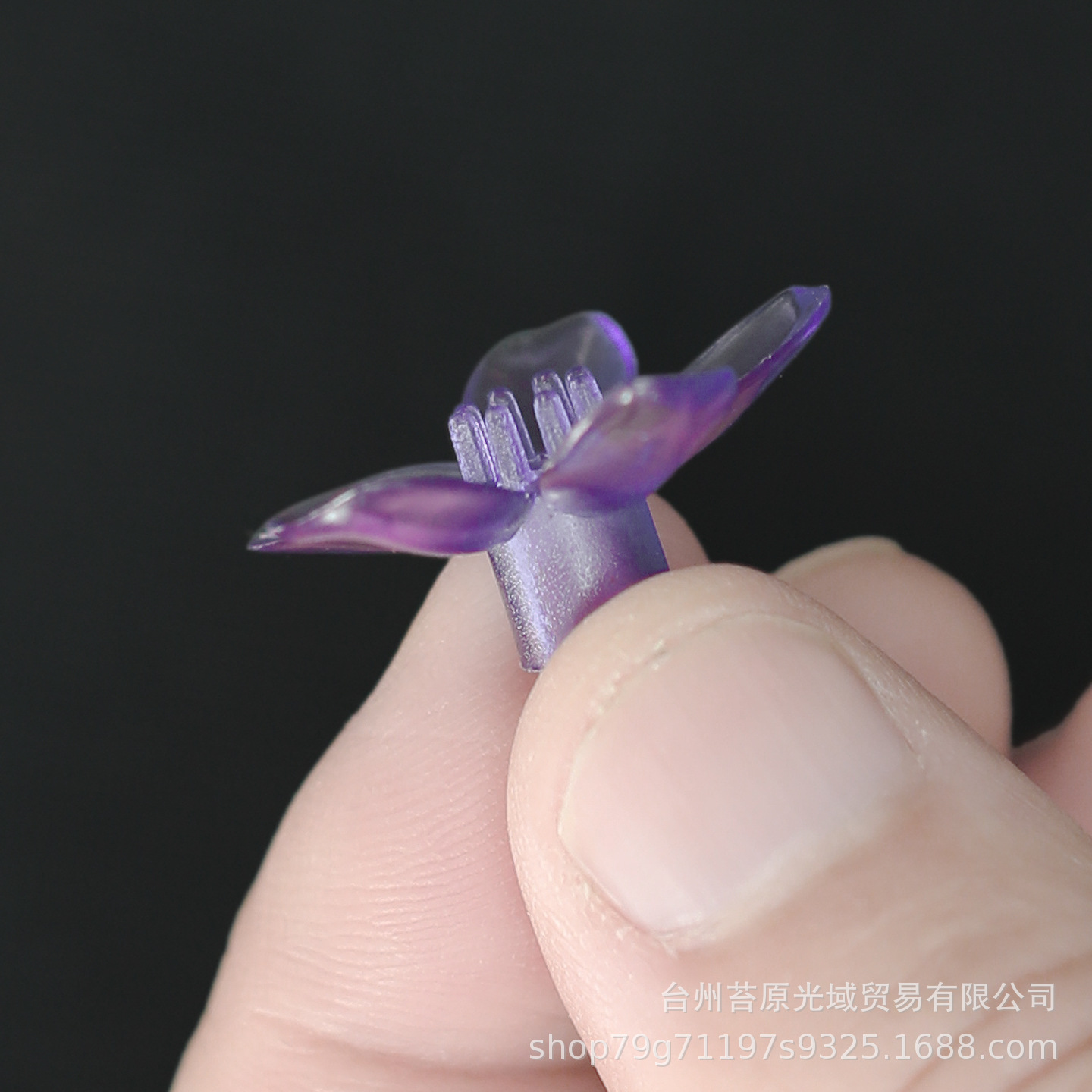 蓝色小樱花4.JPG.jpg