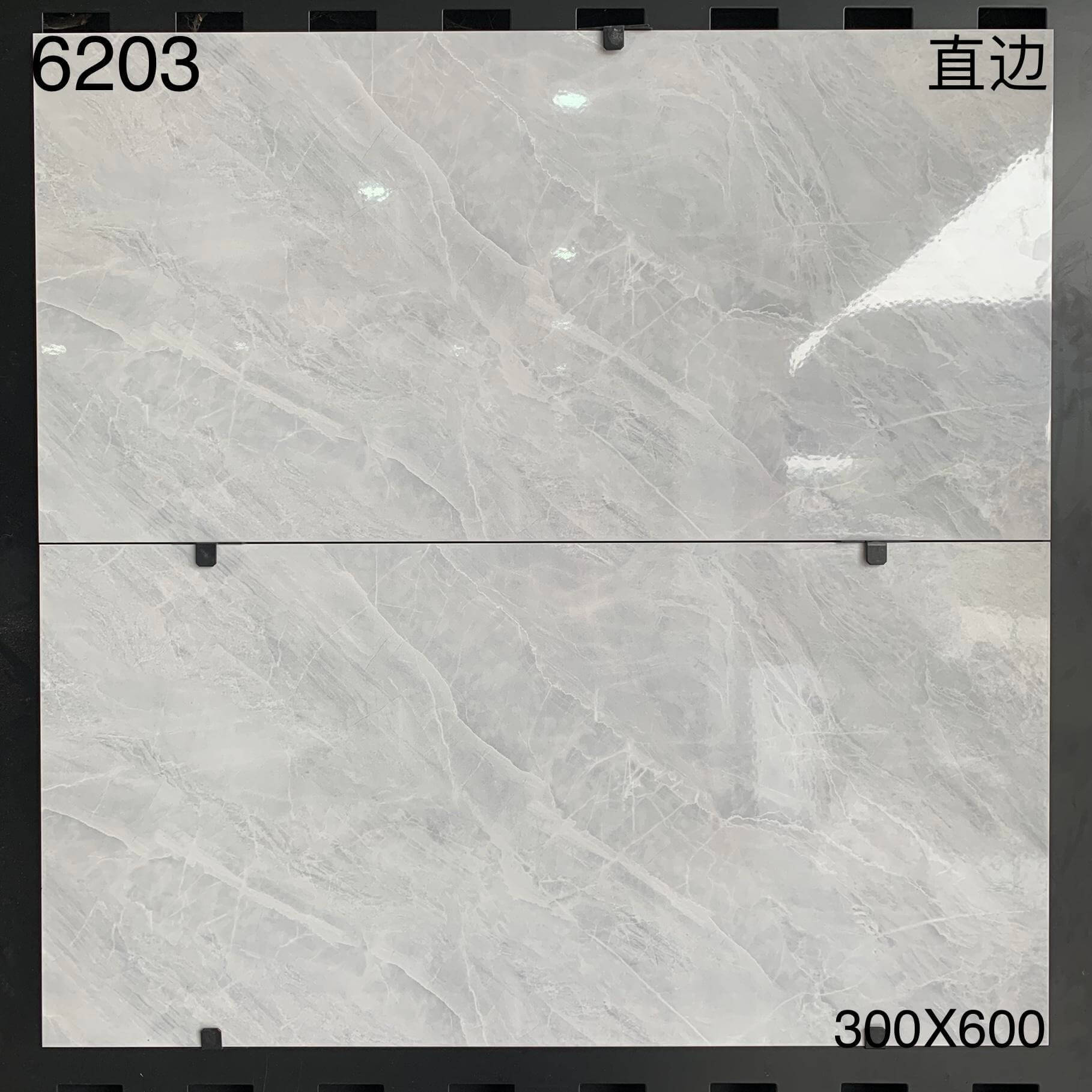 6203