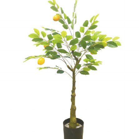 Simulación de limonero en maceta lemonTree Bonsai interior plástico pequeño árbol frutal planta verde Simulación de limonero