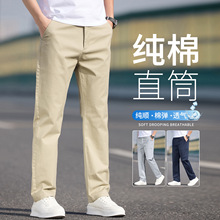 ��ʿ���e�Lѝ2026�¿�޴���������ѝ���п�ֱͲ���ɿ���ɫ��ѝ