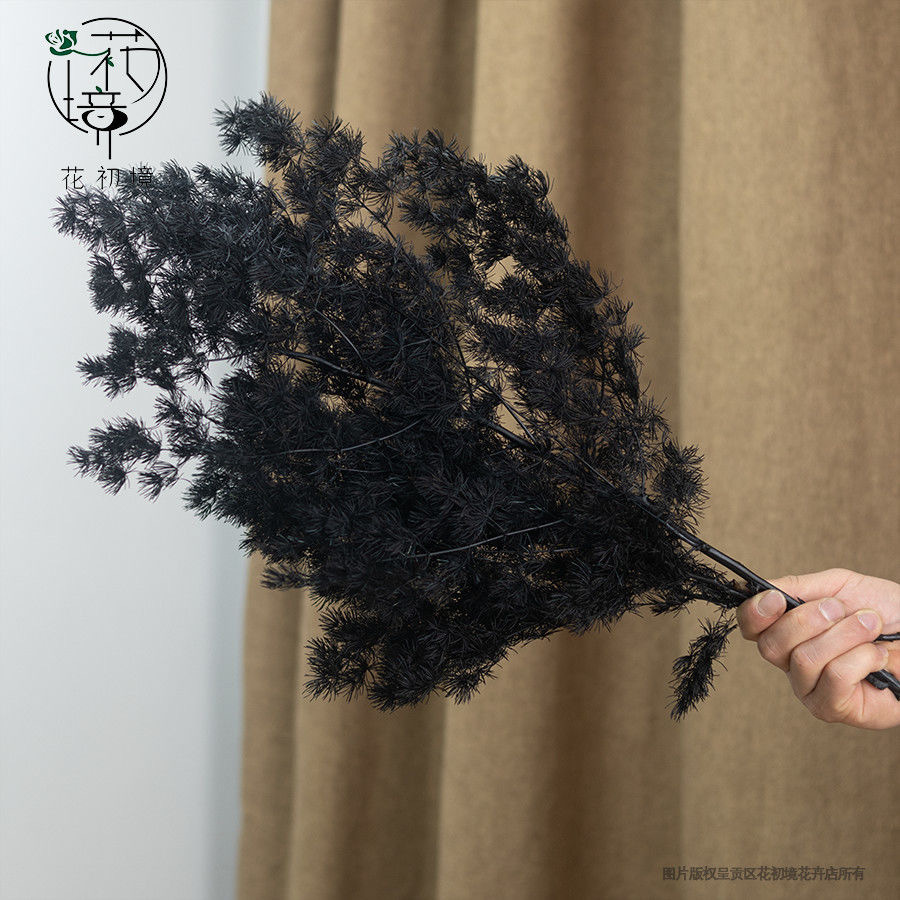 검정색 약 100그램