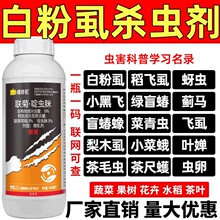 wʭ׷ʭrșxСwxS߲˰׷ʭ߲rș